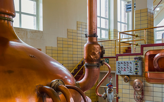 Copper kettles inside a brewhouse