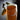 Pint of Homegrown Wet Hop Ale with hop stem sitting atop